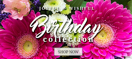 Birthday Banner