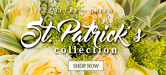 St. Patrick's Day Banner